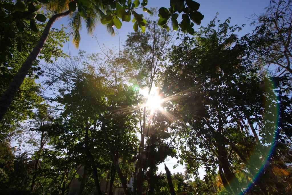 La Residencia Del Paseo Aparthotel Las Terrenas Kültér fotó