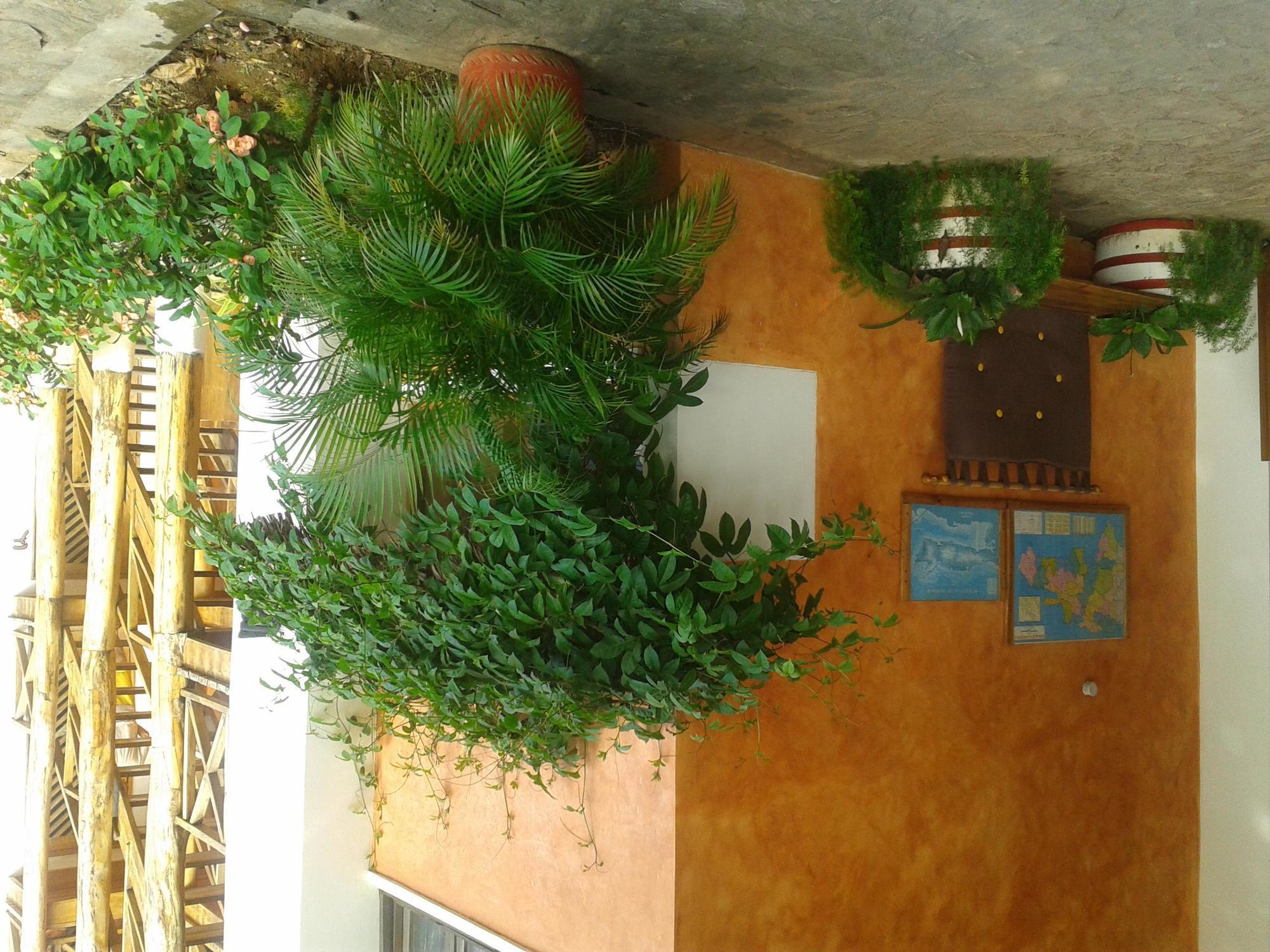 La Residencia Del Paseo Aparthotel Las Terrenas Kültér fotó